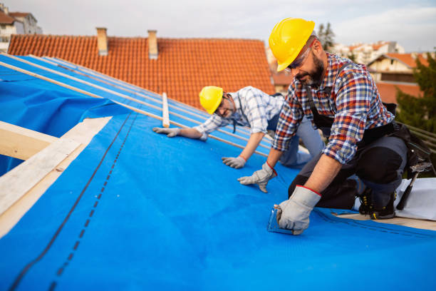 Best Steel Roofing  in Tchula, MS